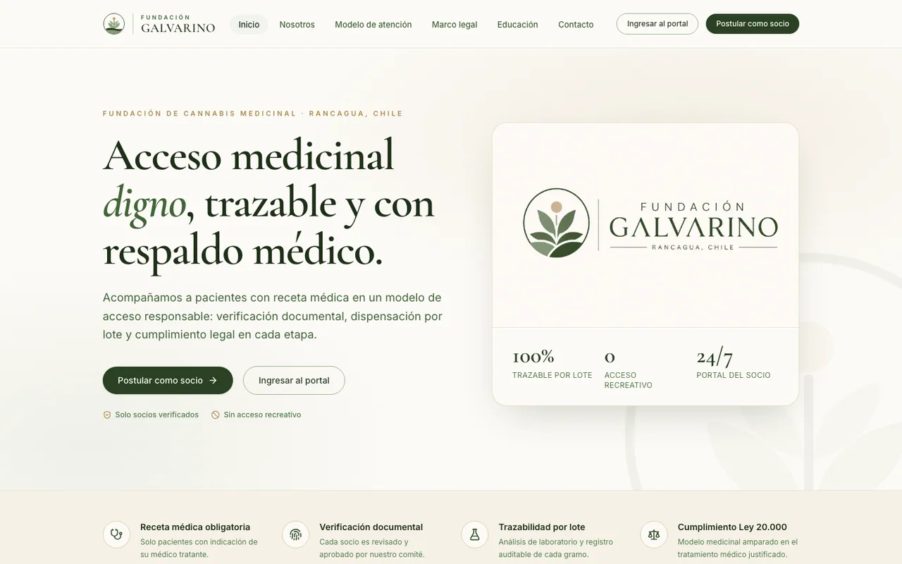Captura del proyecto Fundación Galvarino